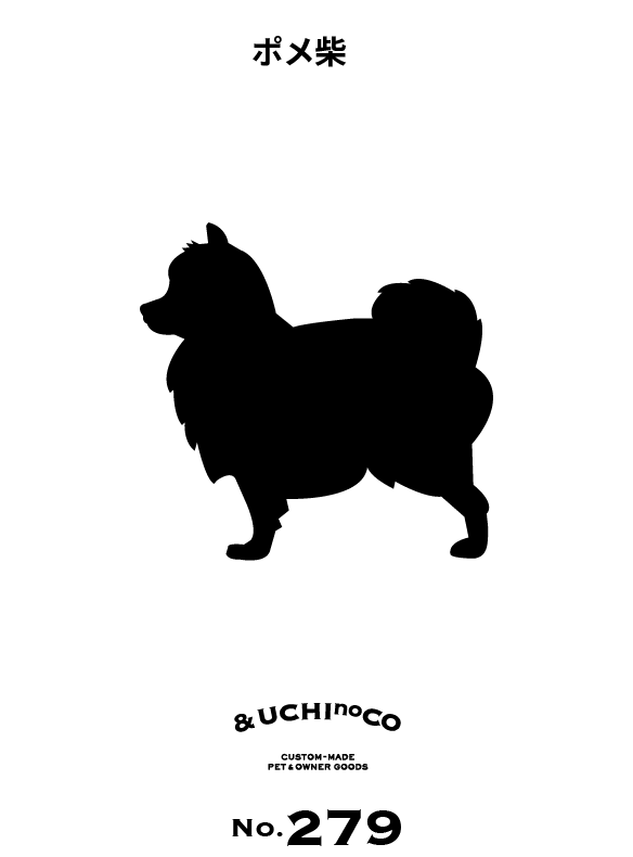 ポメ柴