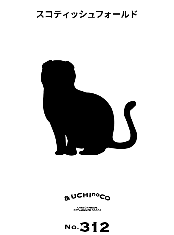 スコティッシュフォールド