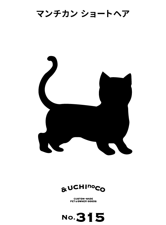 マンチカン　ショートヘア