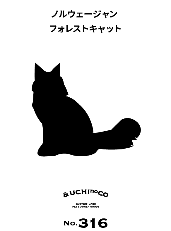 ノルウェージャンフォレストキャット