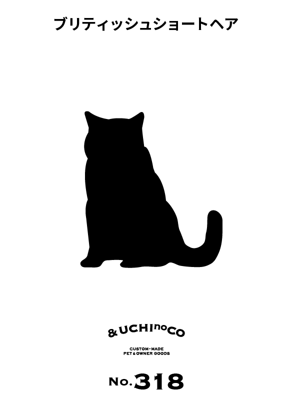 ブリティッシュショートヘア