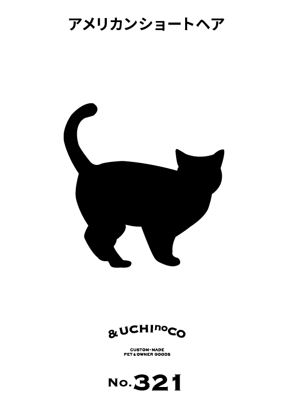 アメリカンショートヘア