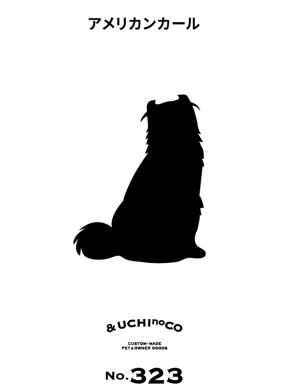 アメリカンカール