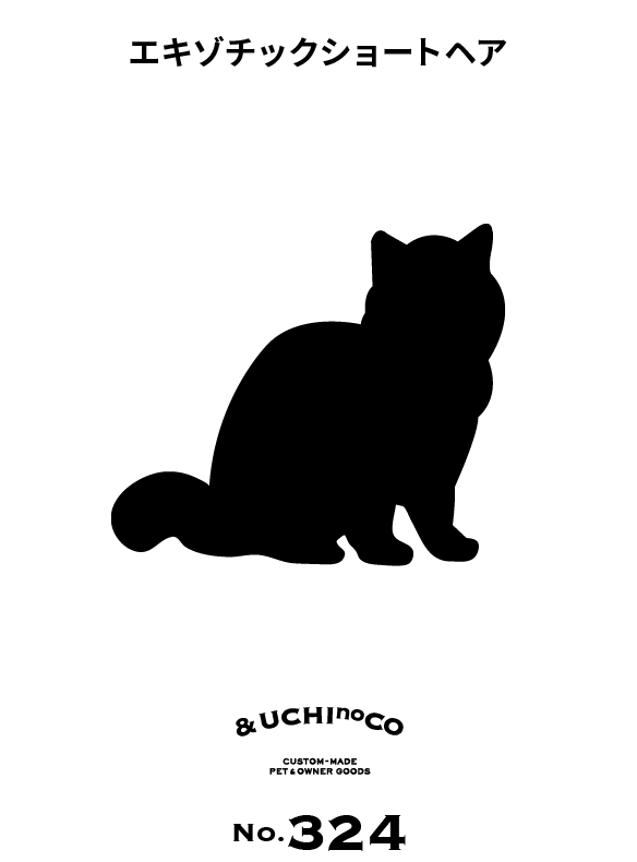 エキゾチックショートヘア