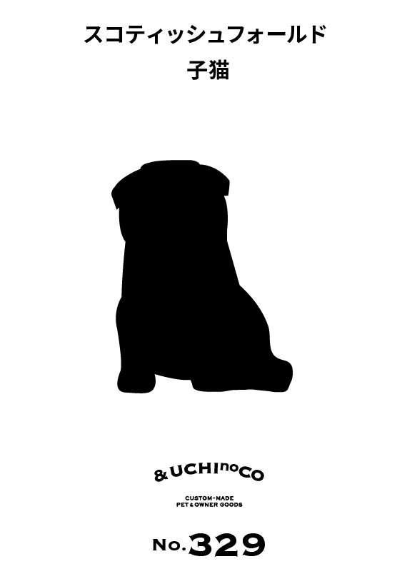 スコティッシュフォールド　子猫