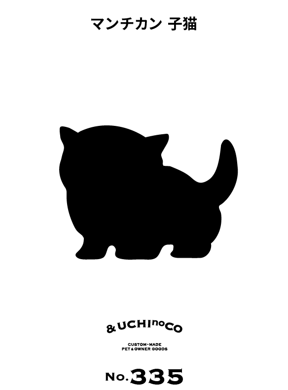 マンチカン　子猫