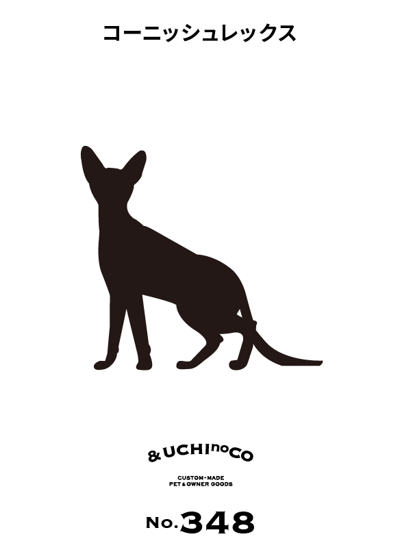 コーニッシュレックス