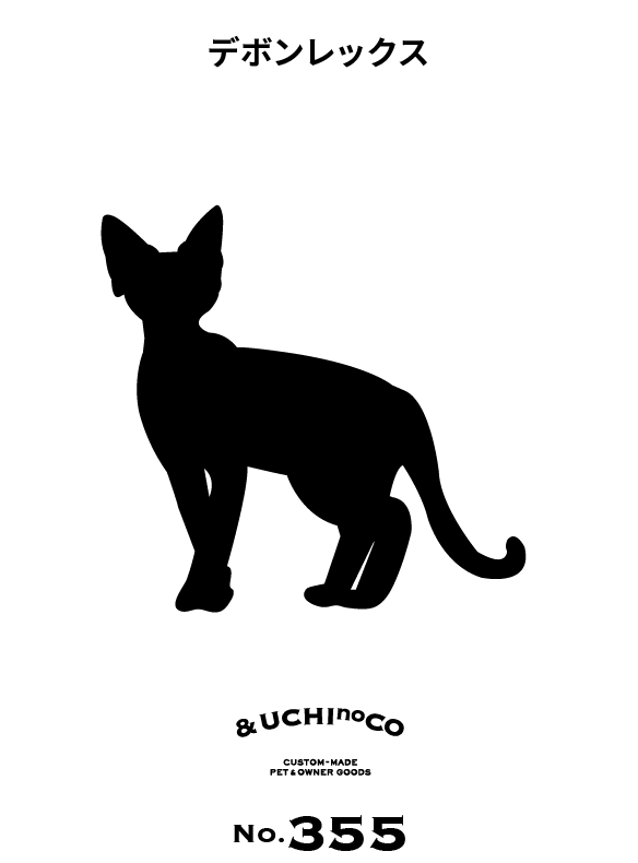 デボンレックス