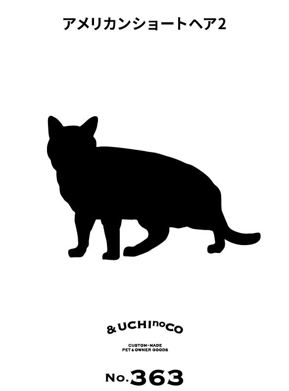 アメリカンショートヘア2