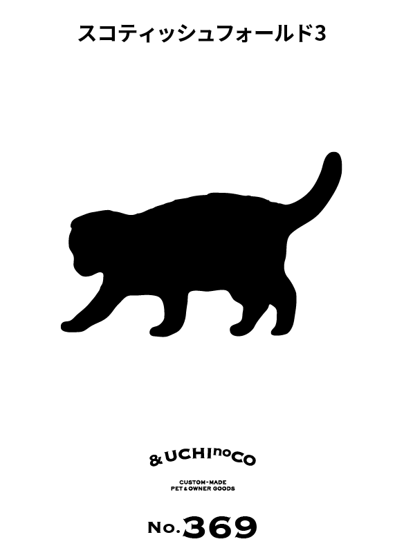 スコティッシュフォールド3