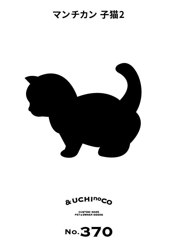 マンチカン 子猫2