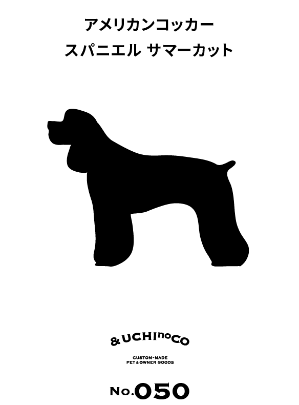 アメリカン・コッカー・スパニエル（サマーカット）
