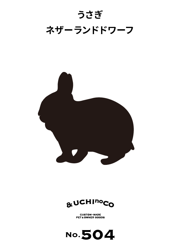 うさぎ　ネザーランドドワーフ