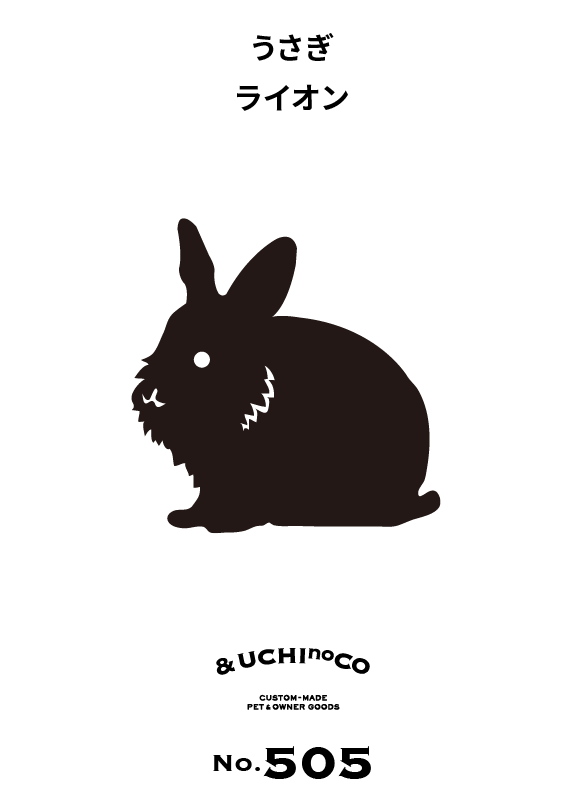 うさぎ　ライオン