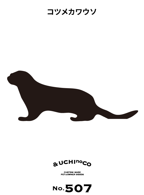 コツメカワウソ