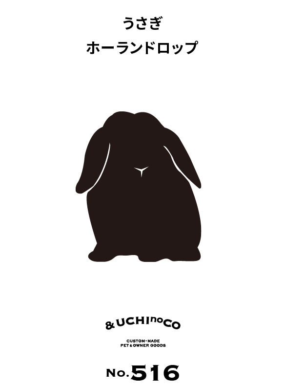 うさぎ　ホーランドロップ