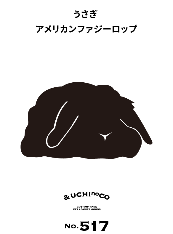 うさぎ　アメリカンファジーロップ