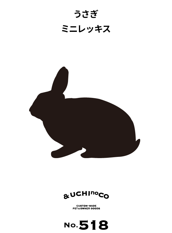 うさぎ　ミニレッキス