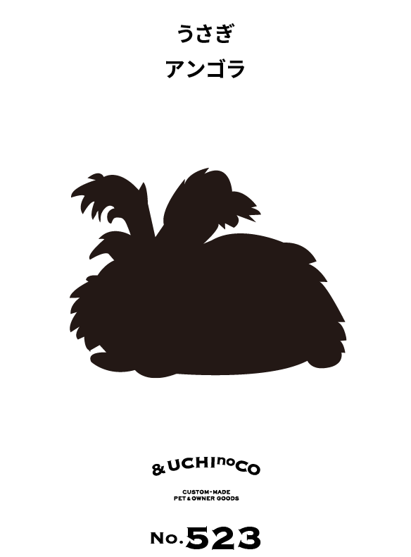 うさぎ　アンゴラ