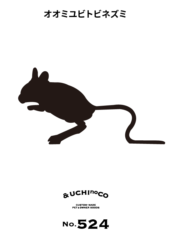 オオミユビトビネズミ