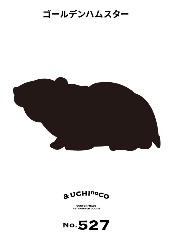 ゴールデンハムスター