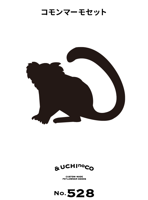 コモンマーモセット