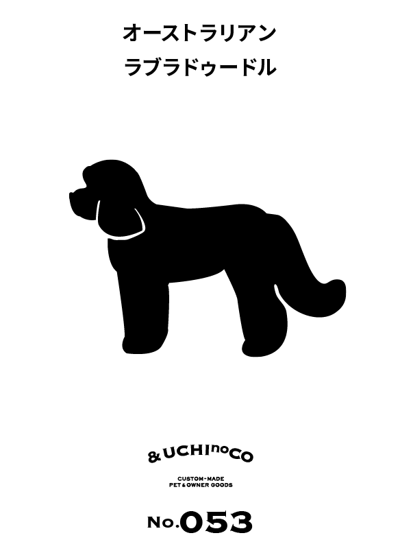 オーストラリアン・ラブラドゥードゥル