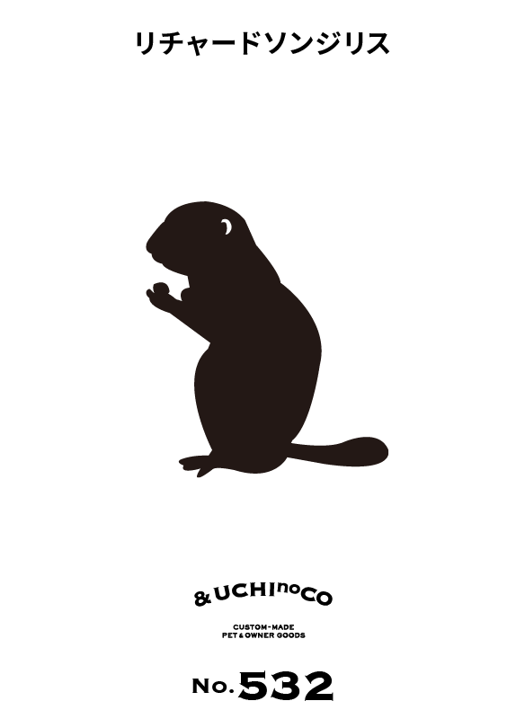 リチャードソンジリス