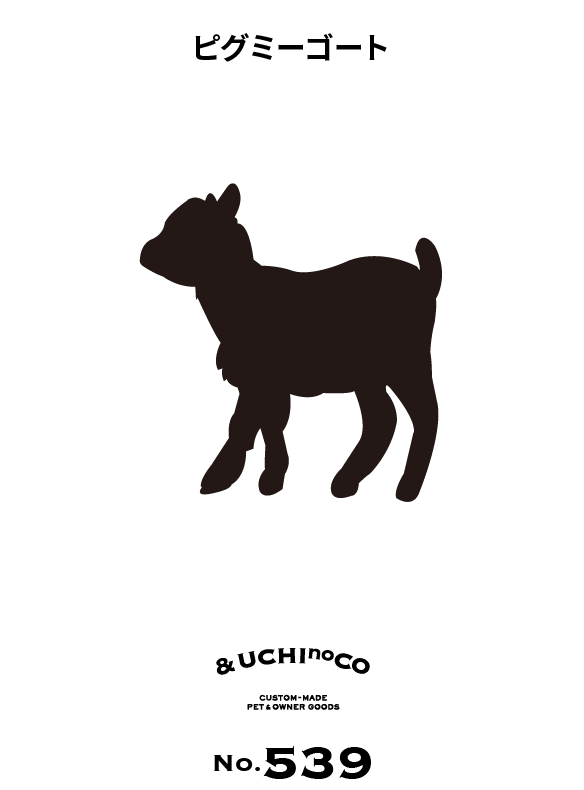 ピグミーゴート