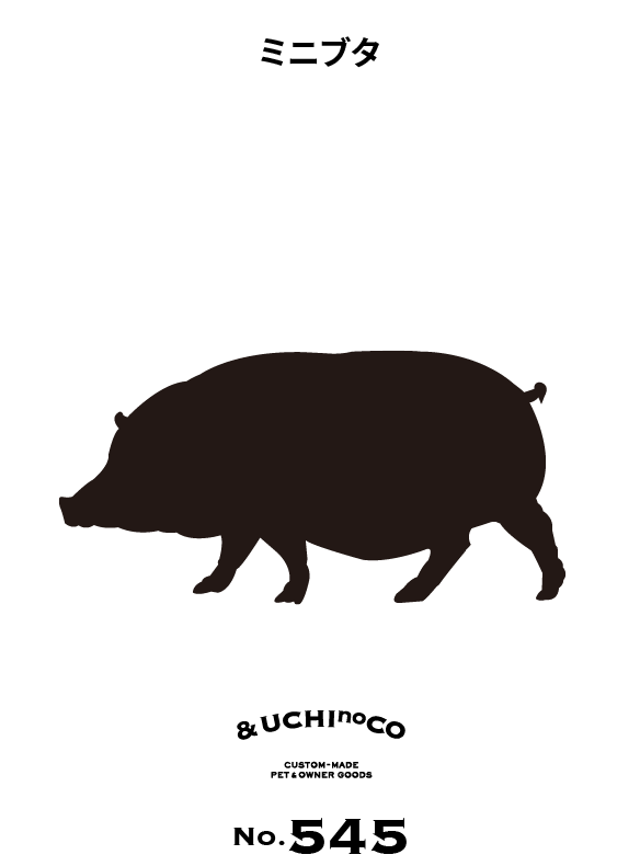 ミニブタ