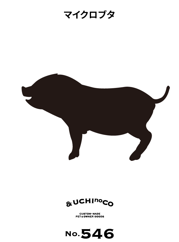 マイクロブタ