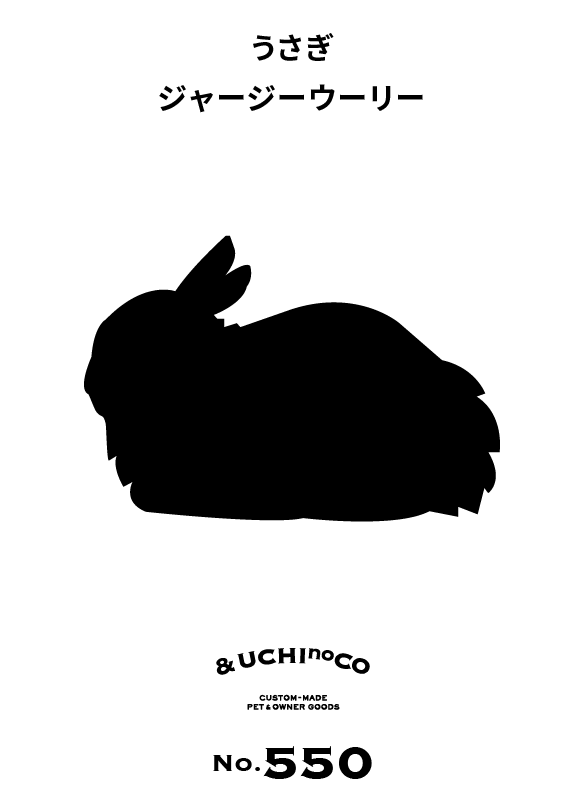 うさぎ　ジャージーウーリー