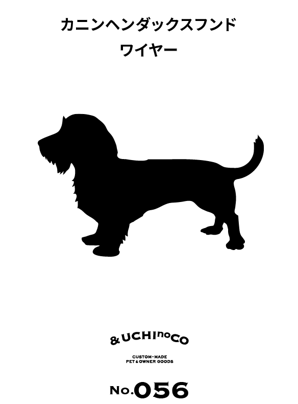 カニンヘン・ダックスフンド（ワイヤー）