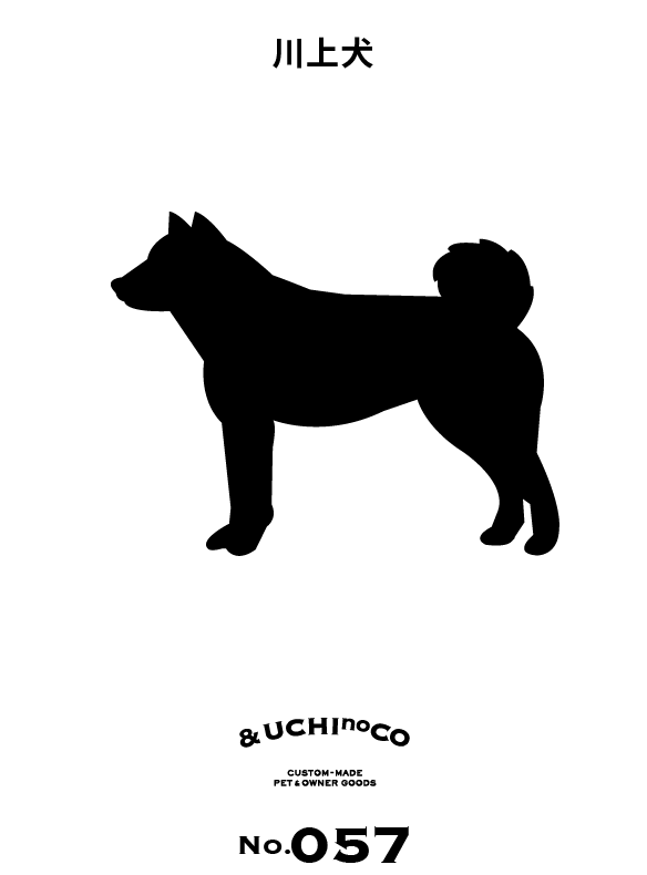 川上犬