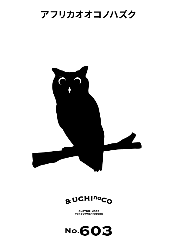 アフリカオオコノハズク