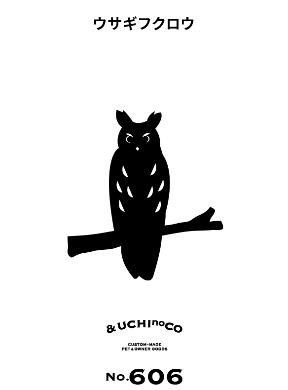 ウサギフクロウ