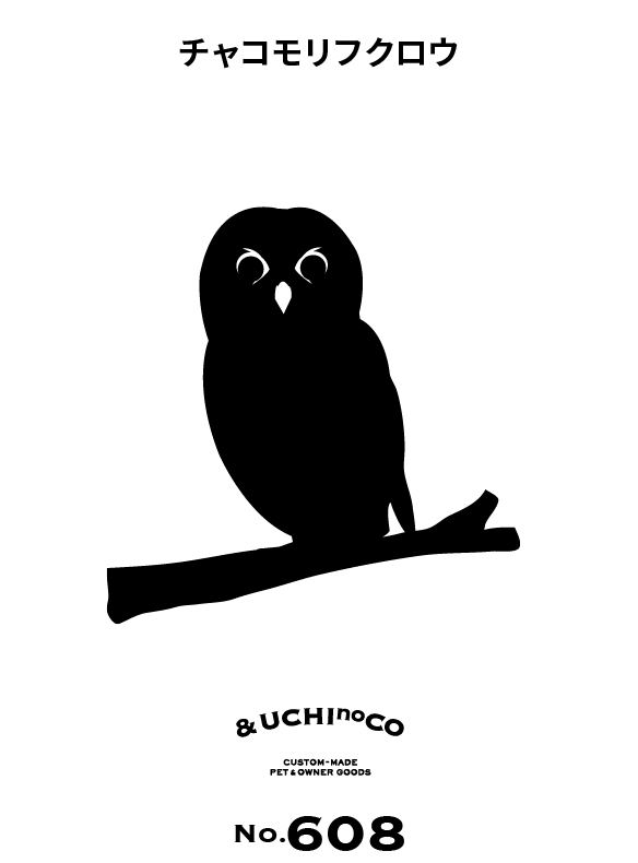 チャコモリフクロウ