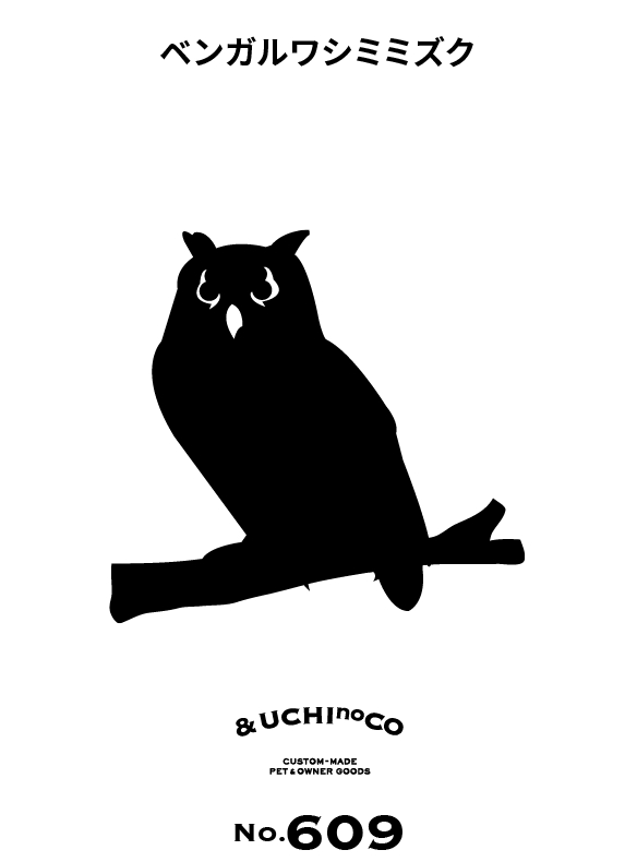 ベンガルワシミミズク