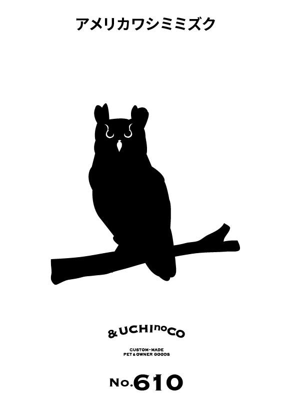 アメリカワシミミズク