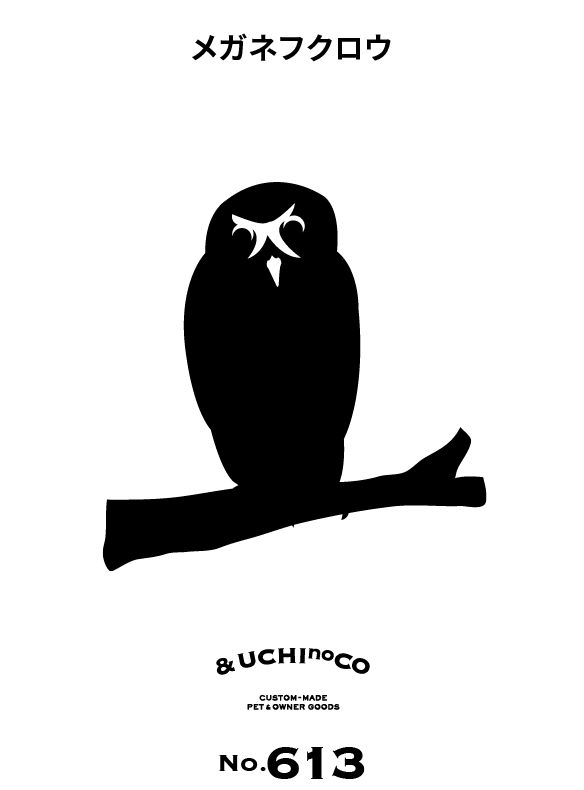 メガネフクロウ