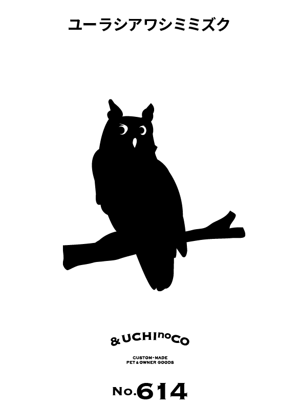 ユーラシアワシミミズク