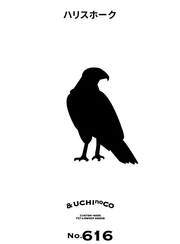 ハリスホーク