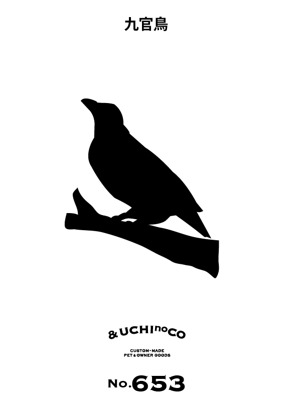 九官鳥