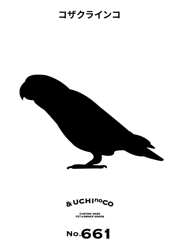 コザクラインコ