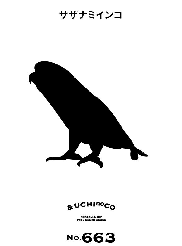 サザナミインコ