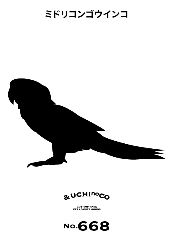 ミドリコンゴウインコ