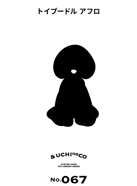 トイ・プードル（アフロ）