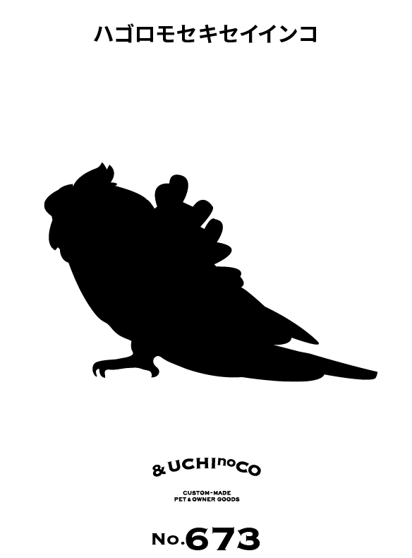 ハゴロモセキセイインコ