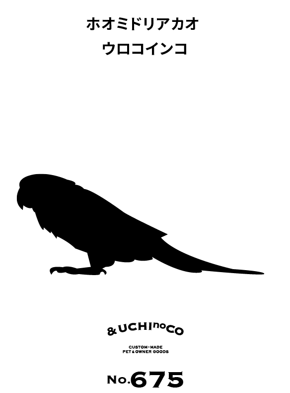 ホオミドリアカオウロコインコ