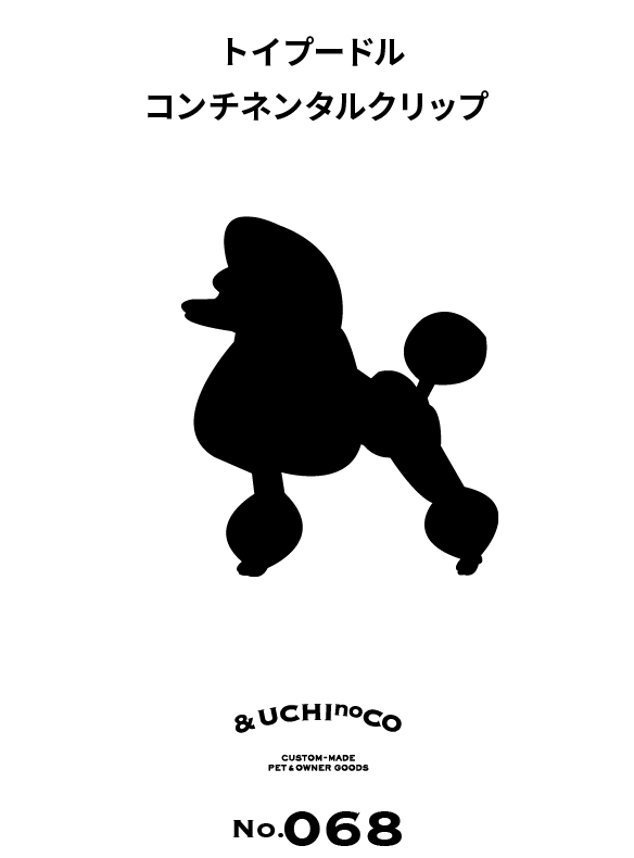 トイ・プードル（コンチネンタルクリップ）